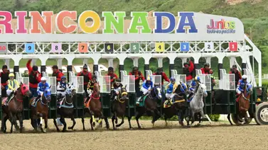 Última hora: Retirado ejemplar que se perfilaba como el dato más corrido para el 5y6 de La Rinconada Última hora: Retirado ejemplar que se perfilaba como el dato más corrido para el 5y6 de La Rinconada