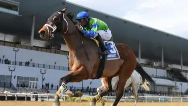 Sentencia de velocidad: One Nine Hundred y su asalto final al Grado 3 este sábado en New York Sentencia de velocidad: One Nine Hundred y su asalto final al Grado 3 este sábado en New York