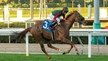 Grand Slam Smile, llega para conquistar su noveno triunfo en carreras de stakes este sábado Santa Anita Park Grand Slam Smile, llega para conquistar su noveno triunfo en carreras de stakes este sábado Santa Anita Park