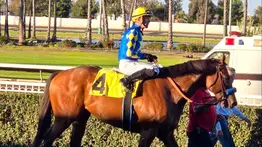 Por primera vez en 30 años un purasangre norteamericano podría participar en el Epsom Derby