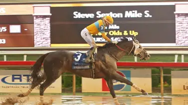 Amenaza Japonesa en Aqueduct: Komorebino Omoide, con herencia de Campeón llega para el Stymie Stakes Amenaza Japonesa en Aqueduct: Komorebino Omoide, con herencia de Campeón llega para el Stymie Stakes