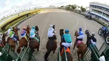 Gulfstream Park inicia la semana 14 del Championship Meet con diez competencias Gulfstream Park inicia la semana 14 del Championship Meet con diez competencias