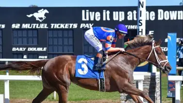 Irad Ortiz Jr. busca aumentar su liderato en Stakes ganados en el 2026 Irad Ortiz Jr. busca aumentar su liderato en Stakes ganados en el 2026