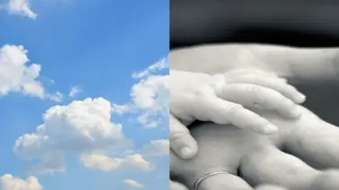 Artistas venezolanas que sufrieron la dura pérdida de un bebé Artistas venezolanas que sufrieron la dura pérdida de un bebé