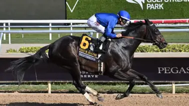 ¡Todo o nada! Knightsbridge, con Junior Alvarado busca escribir su nombre en los $225,000 del Gulfstream Park Mile Stakes ¡Todo o nada! Knightsbridge, con Junior Alvarado busca escribir su nombre en los $225,000 del Gulfstream Park Mile Stakes