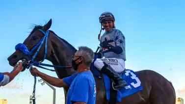 Javier Castellano a sacar toda su casta el sábado en los Stakes de Gulfstream Park Javier Castellano a sacar toda su casta el sábado en los Stakes de Gulfstream Park
