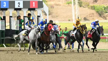 De vuelta a casa: El entrenador que venció el tiempo y reaparece este domingo en La Rinconada De vuelta a casa: El entrenador que venció el tiempo y reaparece este domingo en La Rinconada