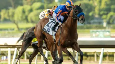 Sacudida en el Top 20: Plutarch queda fuera de la ruta para el Kentucky Derby Sacudida en el Top 20: Plutarch queda fuera de la ruta para el Kentucky Derby