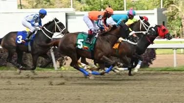 ¡Sin miedo al éxito! Así quedó el ajuste de la línea de Gaceta Hípica para buscar los cuadros con 6 el domingo en la R10 ¡Sin miedo al éxito! Así quedó el ajuste de la línea de Gaceta Hípica para buscar los cuadros con 6 el domingo en la R10