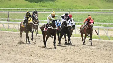 Entre datos: Ejemplar que ajustó cómodo, buscará su primer triunfo este domingo en La Rinconada Entre datos: Ejemplar que ajustó cómodo, buscará su primer triunfo este domingo en La Rinconada