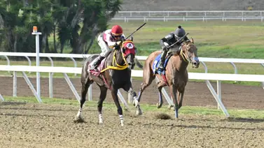 Exhibición en la pista: El trabajo que proyecta a una favorita imbatible en las no válidas de La Rinconada Exhibición en la pista: El trabajo que proyecta a una favorita imbatible en las no válidas de La Rinconada