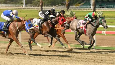 ¿Qué pasó con una sorpresa de Gaceta Hípica? La verdad detrás de su ajuste que sacudirá en la carrera de los acumulados ¿Qué pasó con una sorpresa de Gaceta Hípica? La verdad detrás de su ajuste que sacudirá en la carrera de los acumulados