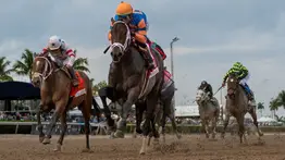 Pronósticos Gulfstream Park: picks gratis y el dato clave para el jueves 26 de febrero