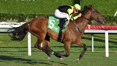 Luis Sáez y Gallant Greta: El rugido de la revancha en el The Very One Stakes G3 Luis Sáez y Gallant Greta: El rugido de la revancha en el The Very One Stakes G3