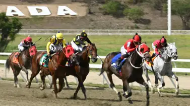 La Rinconada se paraliza: El "dato más corrido" de la semana salta a la pista este domingo La Rinconada se paraliza: El "dato más corrido" de la semana salta a la pista este domingo
