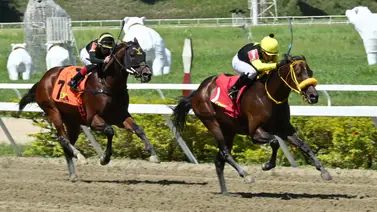 Llegó el momento: Ejemplar importado tronó en su ajuste y ahora va con todo para buscar su primer triunfo en la R10 Llegó el momento: Ejemplar importado tronó en su ajuste y ahora va con todo para buscar su primer triunfo en la R10