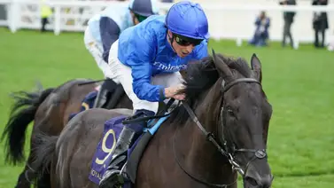 Rebel’s Romance esta de vuelta: enfrentará a seis rivales en el Dubai City of Gold G2 Rebel’s Romance esta de vuelta: enfrentará a seis rivales en el Dubai City of Gold G2