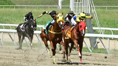 Ojo con el crono: El ajuste contenido de esta yegua la deja lista para ganar en La Rinconada Ojo con el crono: El ajuste contenido de esta yegua la deja lista para ganar en La Rinconada