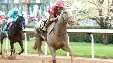 La carrera: Sandman se encuentra con Magnitude en el Razorback Handicap G3 por $500,000 La carrera: Sandman se encuentra con Magnitude en el Razorback Handicap G3 por $500,000