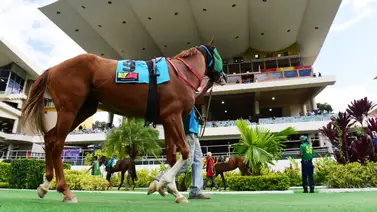 Dominio y Sorpresas: El Balance de La Rinconada tras nueve jornadas de acción Dominio y Sorpresas: El Balance de La Rinconada tras nueve jornadas de acción