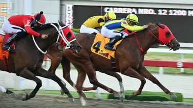 Filtrado: Te revelamos el ajuste inesperado del gran favorito para el ciclo no válido de la R10 y por el que debes conocer Filtrado: Te revelamos el ajuste inesperado del gran favorito para el ciclo no válido de la R10 y por el que debes conocer