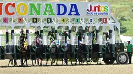 ¿Quieres llenar la cartera? Deja de lado a Silvery Speed y El Chema y anota este batacazo en La Rinconada