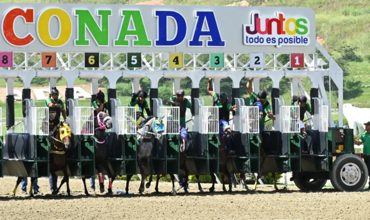 ¿Quieres llenar la cartera? Deja de lado a Silvery Speed y El Chema y anota este batacazo en La Rinconada
