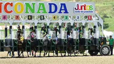 ¿Quieres llenar la cartera? Deja de lado a Silvery Speed y El Chema y anota este batacazo en La Rinconada ¿Quieres llenar la cartera? Deja de lado a Silvery Speed y El Chema y anota este batacazo en La Rinconada