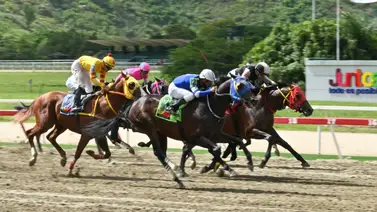 Imparable: Mira el ejemplar importado que logró el mejor remate del jueves y será la clave para mantener su invicto en la R10 Imparable: Mira el ejemplar importado que logró el mejor remate del jueves y será la clave para mantener su invicto en la R10