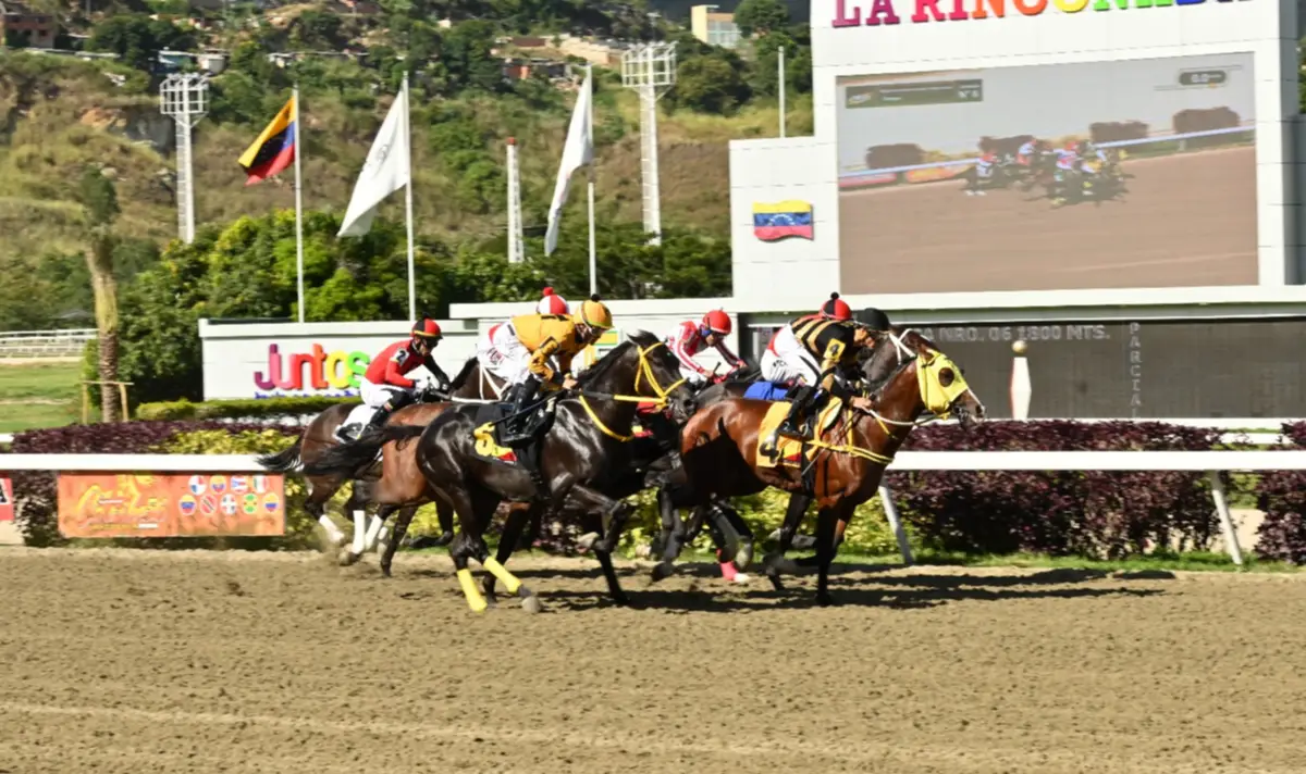 La Rinconada: Datos de Última Hora para el 01-03-2026