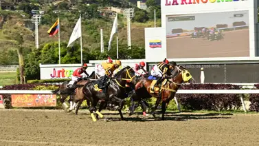 La Rinconada: Datos de Última Hora para el 01-03-2026 La Rinconada: Datos de Última Hora para el 01-03-2026