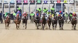 Ministerio de Agricultura, Alimentación y Asuntos Rurales quiere mudar este hipódromo