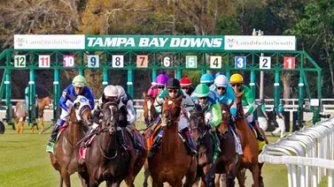 Pronósticos Tampa Bay Downs: Picks gratis y el Dato Clave para el sábado 28 de febrero Pronósticos Tampa Bay Downs: Picks gratis y el Dato Clave para el sábado 28 de febrero