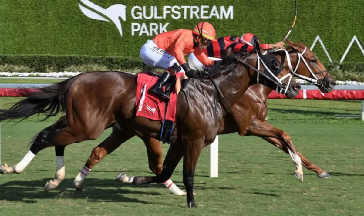 No apuestes este sábado sin ver la previa de Meridiano: Análisis y pronósticos para Gulfstream Park