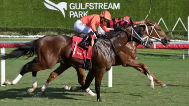 No apuestes este sábado sin ver la previa de Meridiano: Análisis y pronósticos para Gulfstream Park No apuestes este sábado sin ver la previa de Meridiano: Análisis y pronósticos para Gulfstream Park