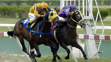 Apuéstale a esta carrera en MeridianoBet Apuéstale a esta carrera en MeridianoBet