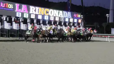 Datos hípicos imperdibles para el primer domingo de marzo en MeridianoBet Datos hípicos imperdibles para el primer domingo de marzo en MeridianoBet