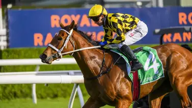 Autumn Glow va por la gloria: busca mantener su invicto e igualar el récord legendario de Black Caviar Autumn Glow va por la gloria: busca mantener su invicto e igualar el récord legendario de Black Caviar