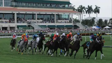 Guía de última hora para Gulfstream Park: Cambios, Lasix y los mejores aprontes para el sábado Guía de última hora para Gulfstream Park: Cambios, Lasix y los mejores aprontes para el sábado