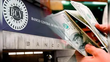 Precio oficial del dólar BCV para este sábado 28 de febrero y hasta el lunes 2 de marzo Precio oficial del dólar BCV para este sábado 28 de febrero y hasta el lunes 2 de marzo