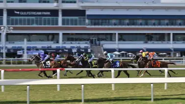 Pronósticos Gulfstream Park: picks gratis y el dato clave para el sábado 28 de febrero Pronósticos Gulfstream Park: picks gratis y el dato clave para el sábado 28 de febrero