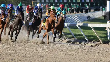De extremo a extremo: Jinete aprendiz venezolano logra su primer éxito del año con un sorpresivo dividendo en Tampa Bay Downs De extremo a extremo: Jinete aprendiz venezolano logra su primer éxito del año con un sorpresivo dividendo en Tampa Bay Downs