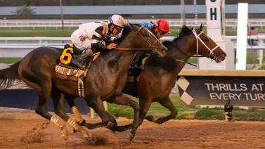 Commandment conquista el Fountain of Youth Stakes (G2) y logra 50 puntos en la ruta al Kentucky Derby Commandment conquista el Fountain of Youth Stakes (G2) y logra 50 puntos en la ruta al Kentucky Derby