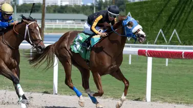¡Inspirado! Descubre al entrenador venezolano más encendido en Estados Unidos ¡Inspirado! Descubre al entrenador venezolano más encendido en Estados Unidos