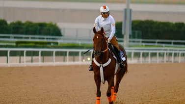 Super Saturday: Un espectáculo hípico en Dubai