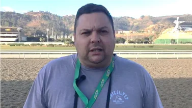 De punta a punta espera David Palencia sea la carrera de esta yegua en La Rinconada (+video)