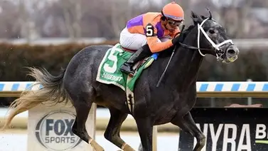 ¿Cuál es el mejor del cuarteto de Brad Cox en esta clasificatoria al Kentucky Derby? ¿Cuál es el mejor del cuarteto de Brad Cox en esta clasificatoria al Kentucky Derby?