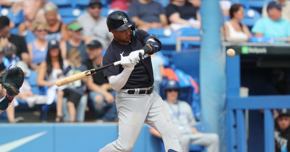 New York Yankees 2024 Season Expectations and Everson Pereira’s Spring Training Performance