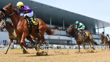 Aquí el Best Bet y los Tips Aqueduct 02-03-2024
