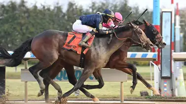 A que hora es y donde puedes ver el Fountain Of Youth A que hora es y donde puedes ver el Fountain Of Youth